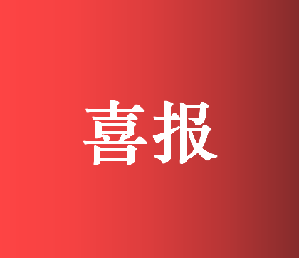 朔源电力在国网宁夏电力有限公司2025年配网工程设计技能比武中斩获佳绩